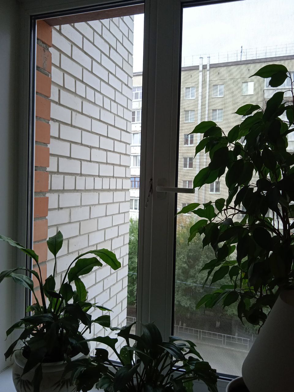 https://habarovsk.delaem-okna.ru/storage/app/uploads/public/63f/332/8c0/63f3328c0408d690824237.jpg