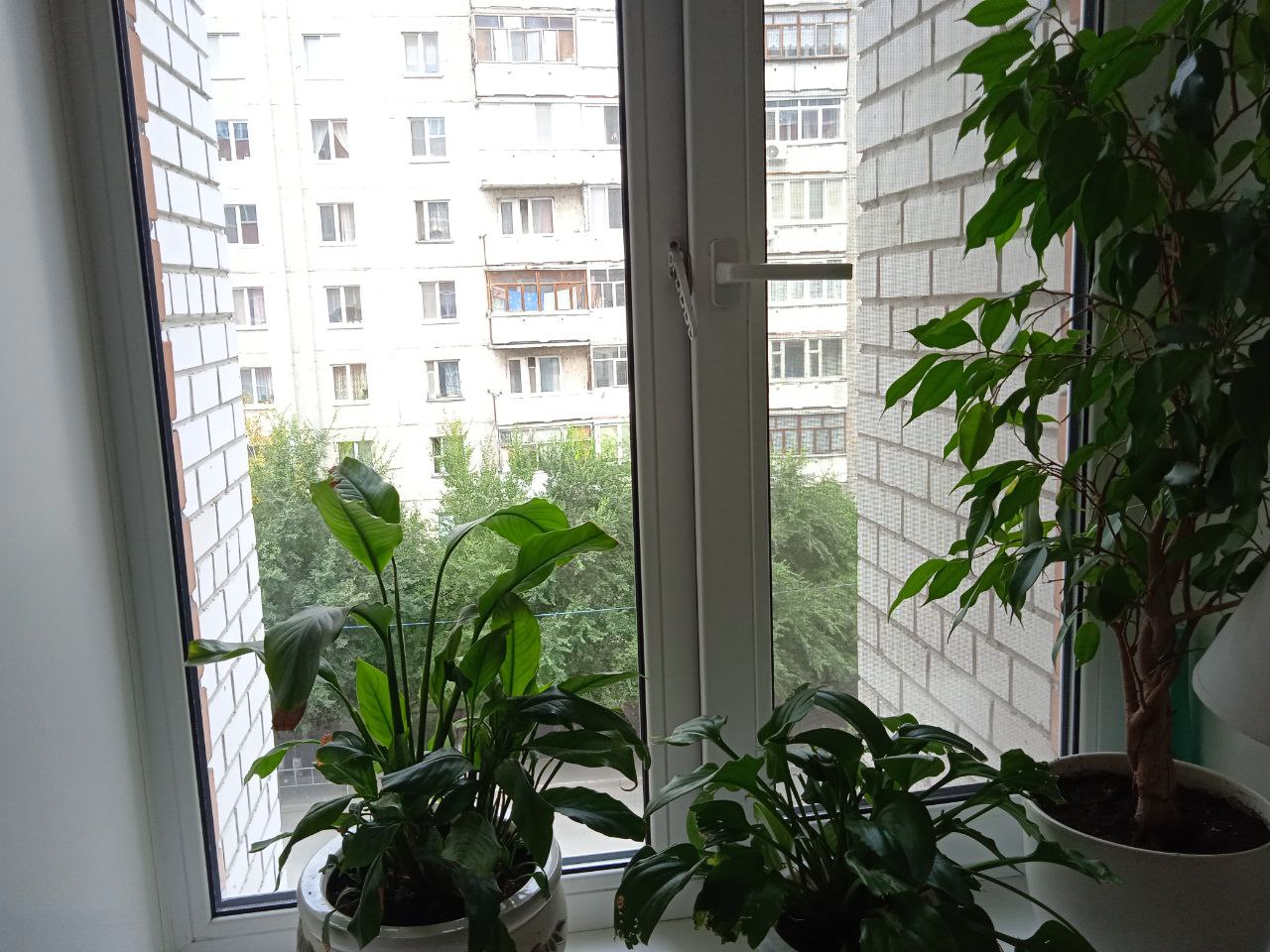 https://habarovsk.delaem-okna.ru/storage/app/uploads/public/63f/332/8c0/63f3328c0d6f7867060515.jpg